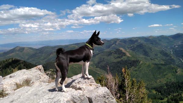 /Images/uploads/Humane Society of Utah/HSUCalendar/entries/1040thumb.jpg